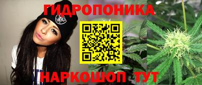 a pvp Аша
